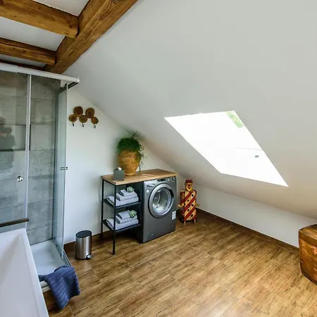 Charming Loft Bodensee ميكنبورن